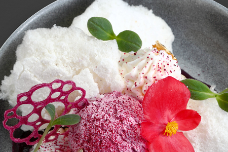 Павлова черная смородина