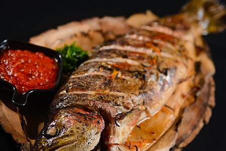 Радужная форель