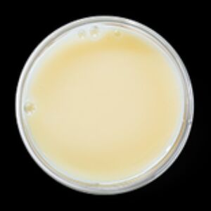 Сгущенное молоко