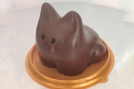 Котопудинг шоколад 