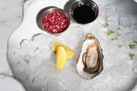 Устрица Касабланка