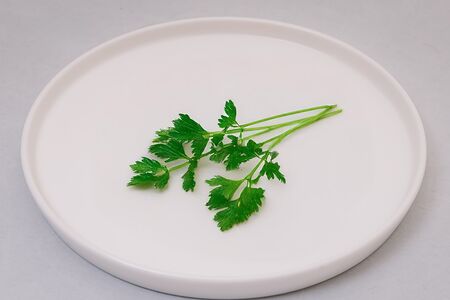 Петрушка свежая