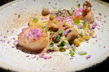 Гребешок, сморчки и цветная капуста