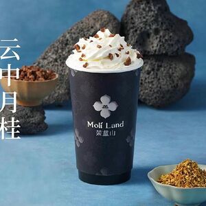 Изумрудная Орхидея 