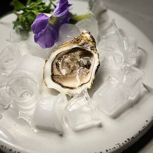 Устрица Марокканская Касабланка