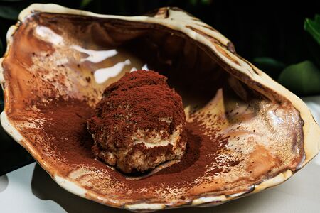 Тирамису с пудрой из белого трюфеля и какао