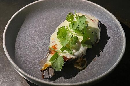 Баклажан, запеченный с сыром моцарелла, пармезаном и томатным соусом