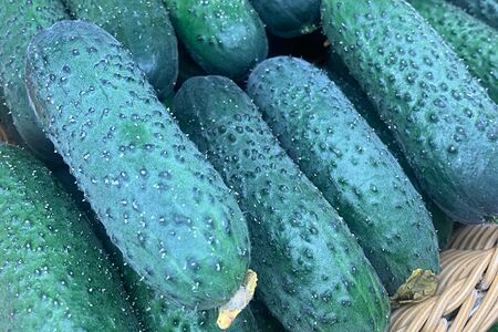 Огурцы свежие