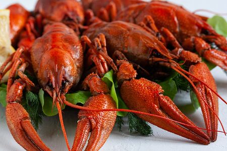 Раки Элитные вареные