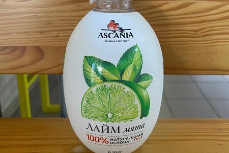 Лимонад Аскания Лайм-мята