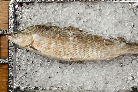 Свежемороженый муксун (тушка)