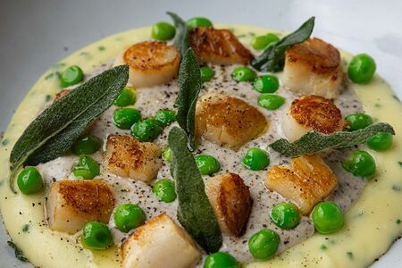 Гребешки с трюфельным соусом и шалфеем