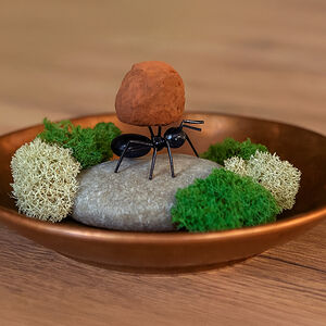 Шоколадный трюфель