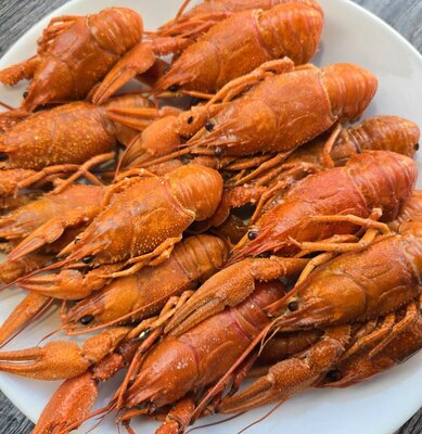 Раки Кубанские варёные