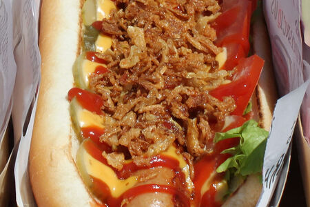 Датский Дог