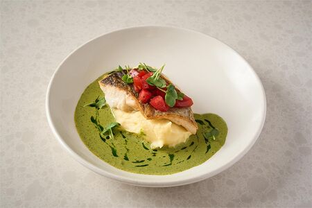 Судак, пюре, мусс из трав