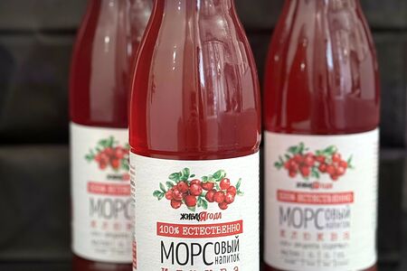 Морс Клюква 450 мл