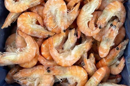 Креветки Королевские