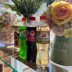 Черноголовка Кола