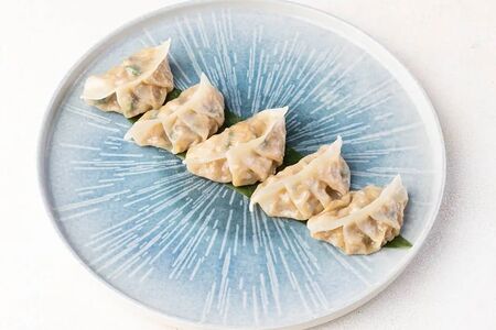 Гедза с курицей