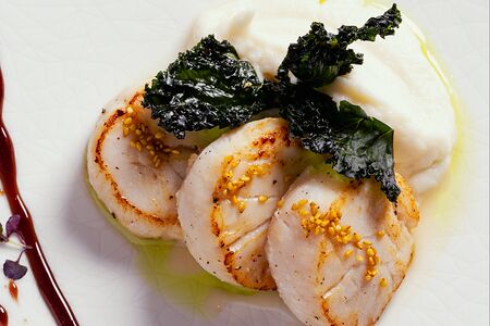 Сахалинский гребешок с пюре из цветной капусты