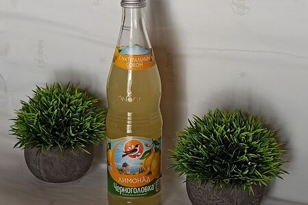 Черноголовка Дюшес