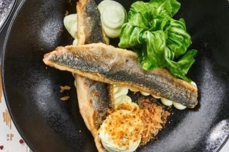 Филе сибаса с муссом из брокколи 