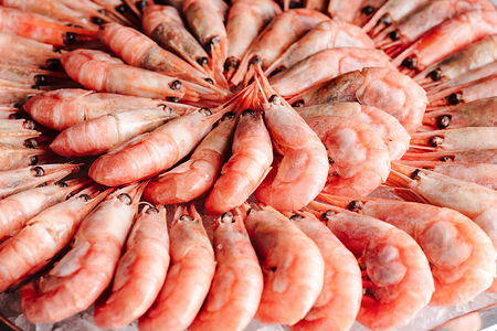 Креветки магаданские отварные