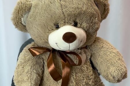 Медведь маленький