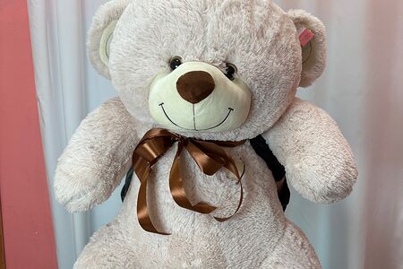 Медведь большой