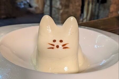 Паннакоттик