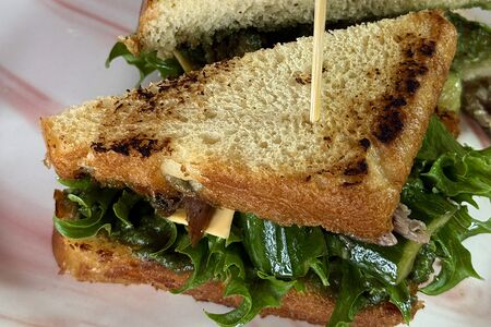 Камо-Сандо (японский сэндвич с уткой)