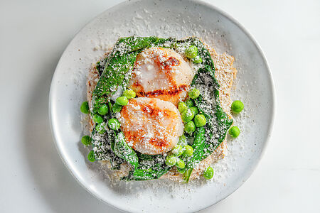 Морские гребешки с пюре из артишока и цветной капусты