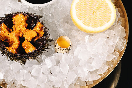 Морские ежи