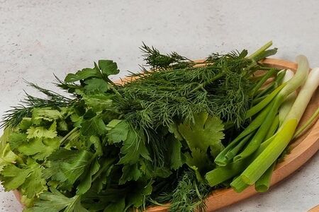 Свежая зелень