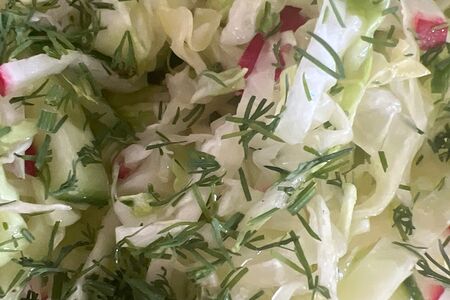 Салат из молодой капусты