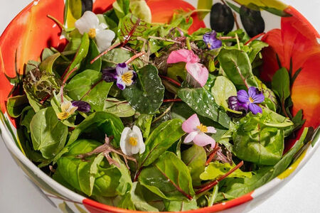 Микс-салат с зеленью 