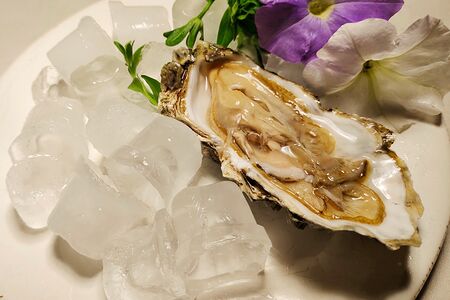 Устрица сакура