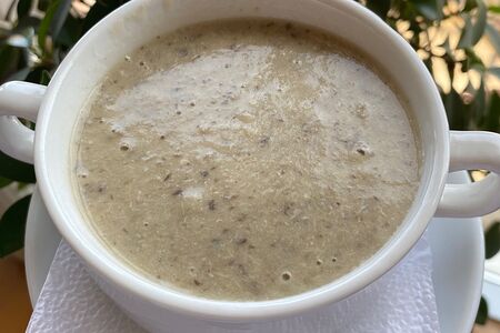 Суп-пюре из курицы с грибами