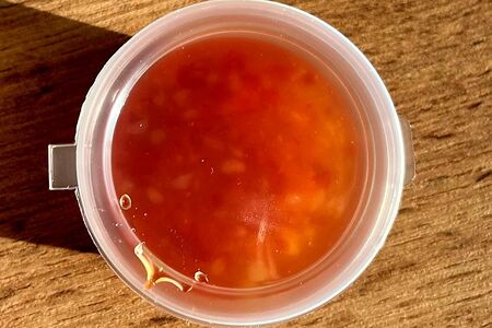 Кисло-сладкий 