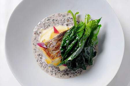 Волжский судак, картофельное пюре и маринованный лук