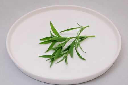 Эстрагон (тархун) свежий