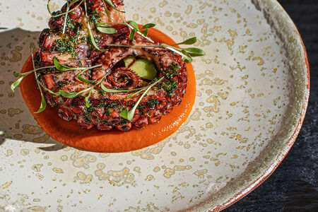 Осьминог, ромеско и соус чимичурри