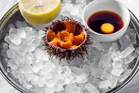 Морские ежи