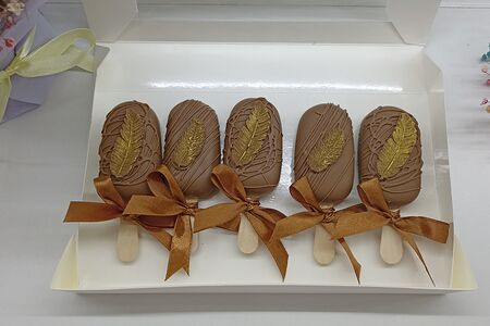 Набор чизкейков Эскимо ассорти в молочном шоколаде с перышками