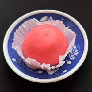 Моти Малина