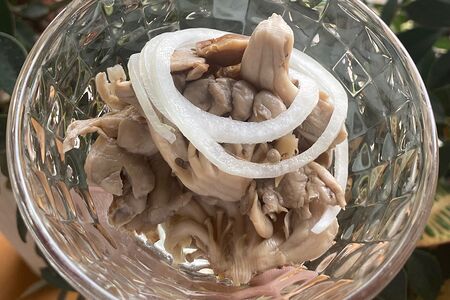 Грибы Вешенки 