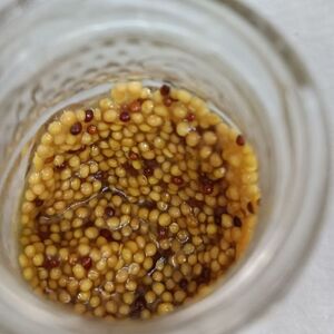 Французская горчица 