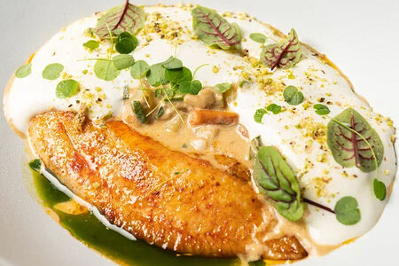 Окунь с овощами в сливочном соусе