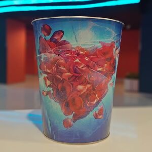 Железное ведро Лёд 3 